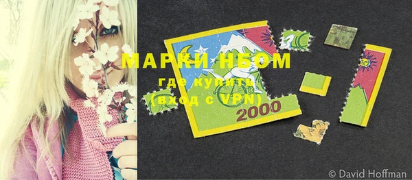 шишки Алзамай